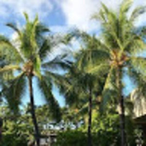 Meet your Posher, Kaylee